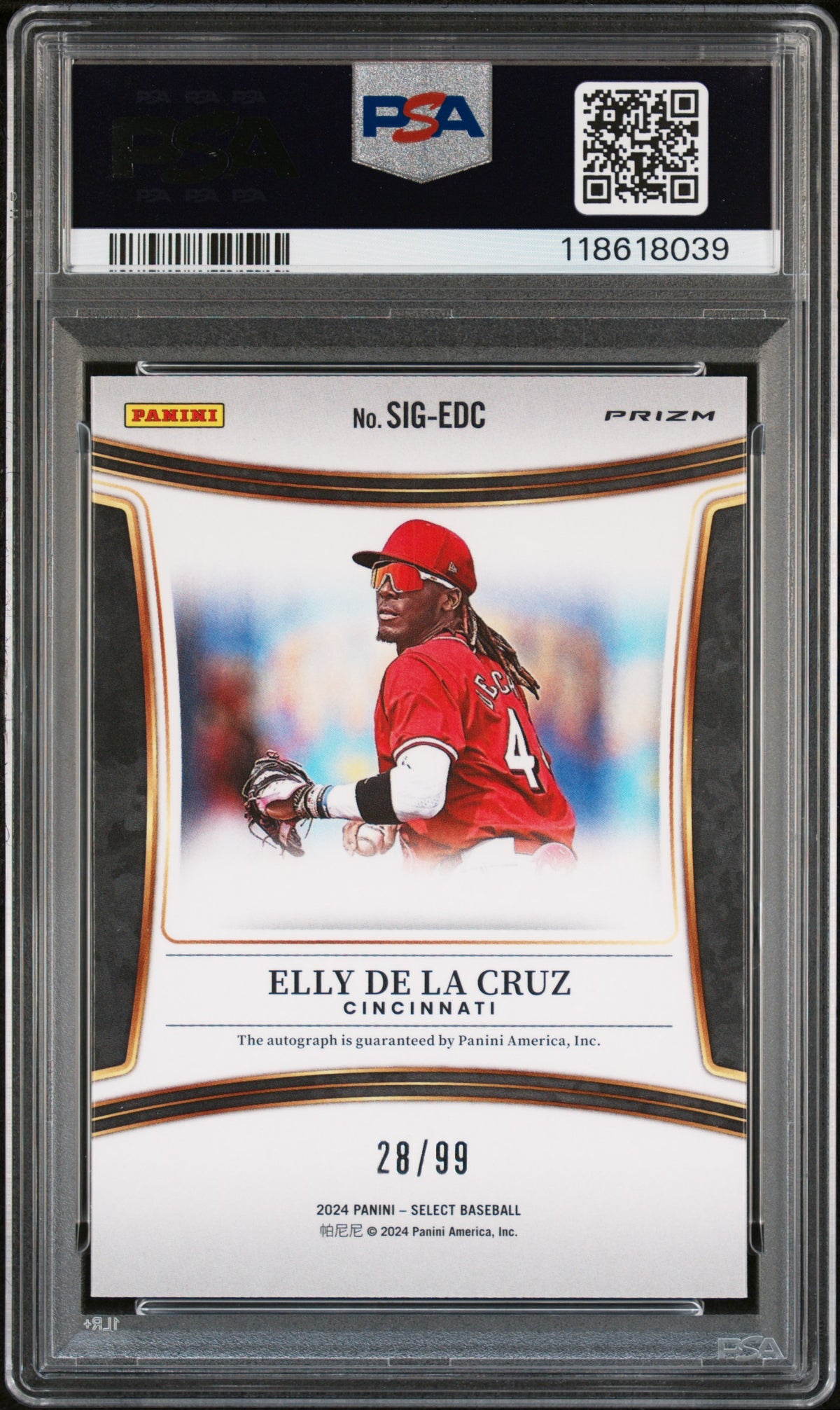 2024 Panini Select Signatures #SIGEDC Elly De La Cruz Signature-Red Prizm PSA 9